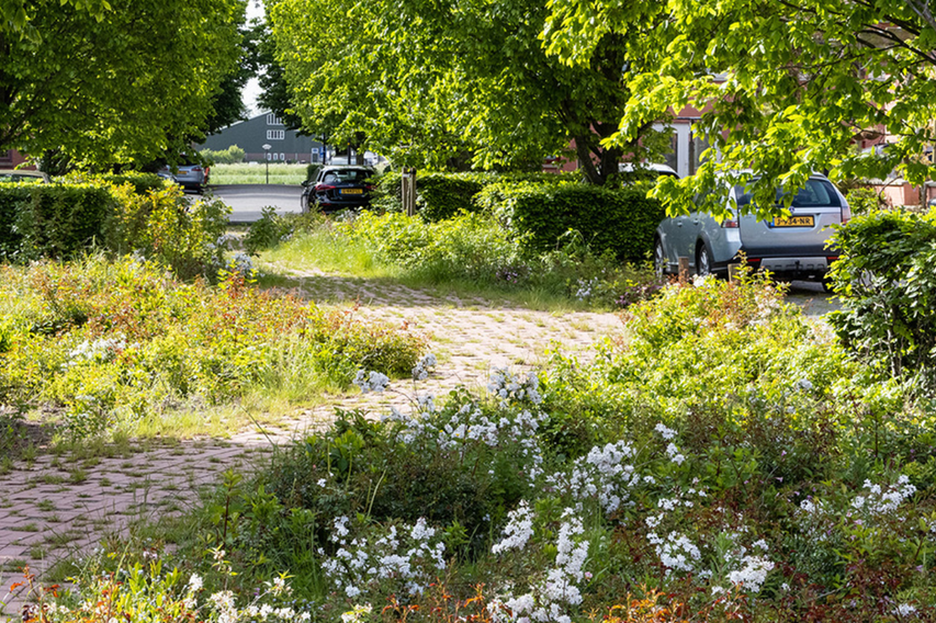 Groene inrichting Regenboogbuurt Almere