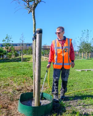 Medewerker onderhoud bomen