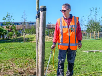 Medewerker onderhoud bomen
