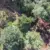 Ommen drone
