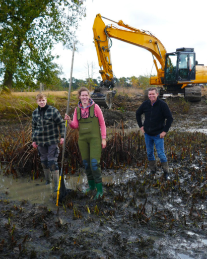 Kamsalamanders vangen